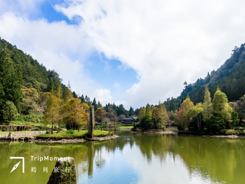 宜蘭．馬告生態園區｜滿滿的芬多精，走一趟如夢似幻的絕美秘境